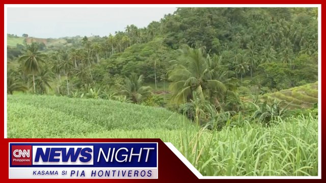Dating miyembro ng NPA isa sa mga suspek sa pagpatay kay Degamo | News Night