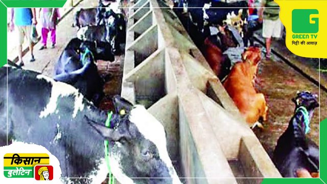 Kisan Bulletin 15 March 2023 - किसानों के लिए IMD ने जारी की चेतवानी, अगले 4 दिन देश के इन राज्यों में हो सकती है बारिश | Green TV