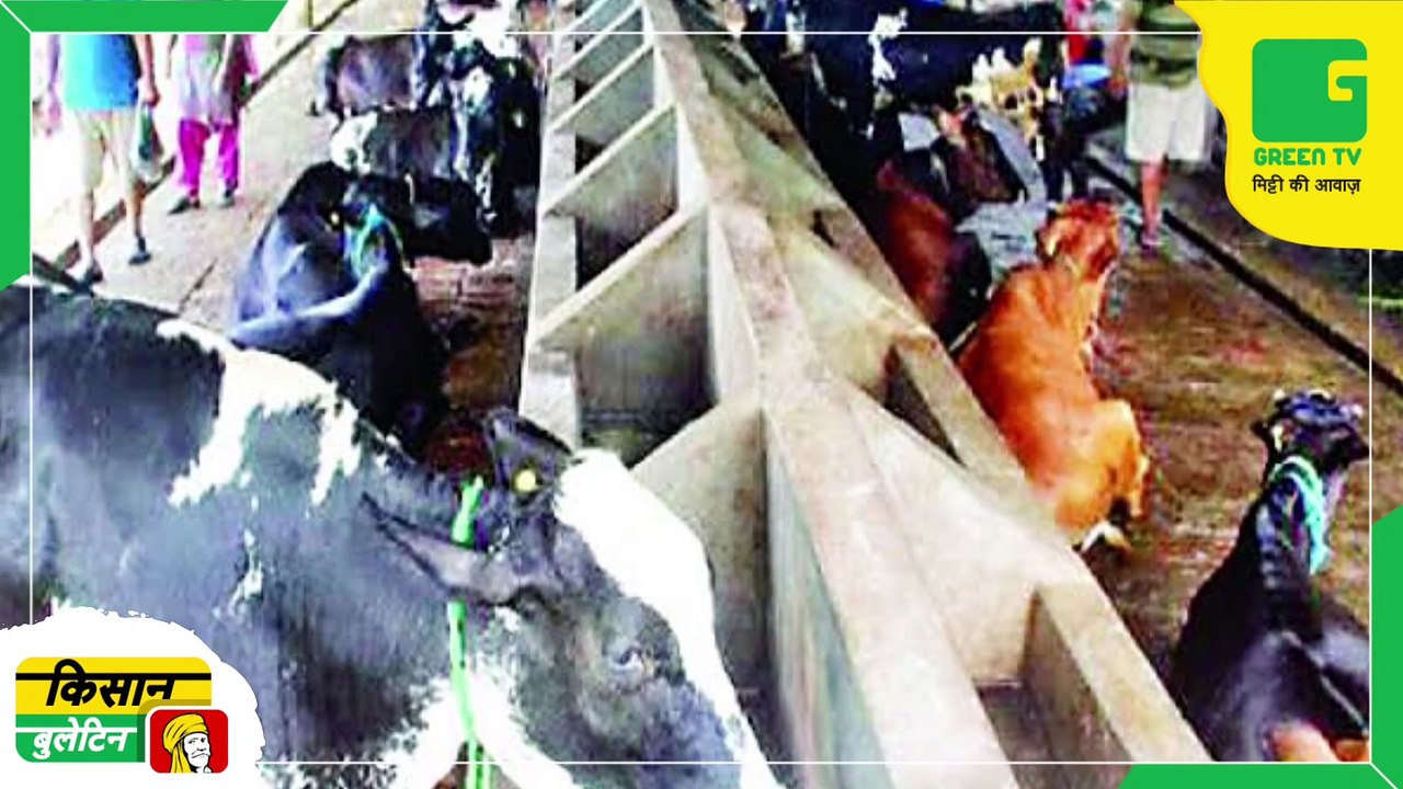 Kisan Bulletin 15 March 2023 - किसानों के लिए IMD ने जारी की चेतवानी, अगले 4 दिन देश के इन राज्यों में हो सकती है बारिश | Green TV