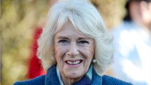 VOICI : Camilla Parker-Bowles : ce rôle qu’elle joue pour réhabiliter Sarah Ferguson, l'ex-femme du prince Andrew