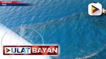 Oil spill sa Oriental Mindoro, pinangangambahang umabot sa Verde Island sa Batangas