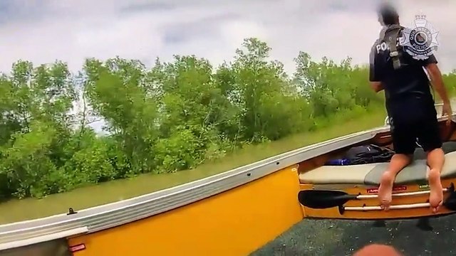 Des policiers sauvent un bébé kangourou perdu dans une rivière infestée de crocodiles