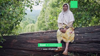 ‘The trees were all gone’: Indonesia’s nickel mines reveal the dark side of our electric future