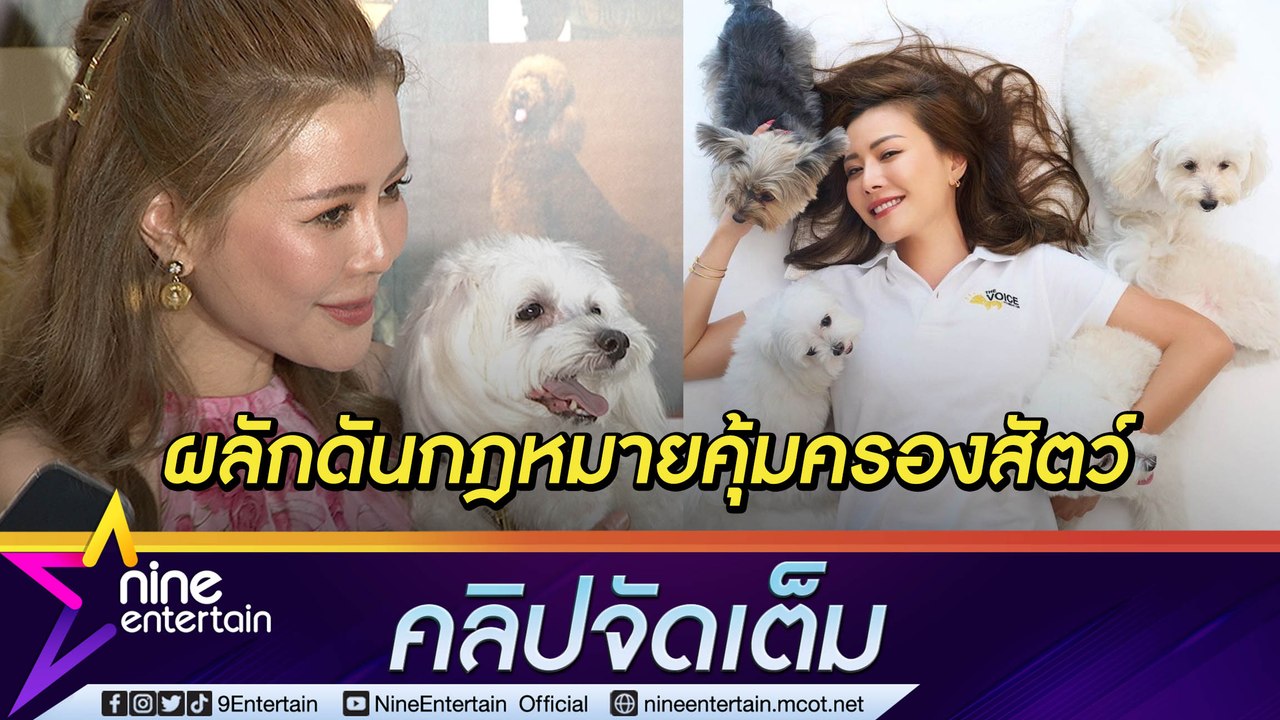 “เก๋” วอนเปิดใจรับอุปการะสัตว์เลี้ยง ขอเป็นกระบ...