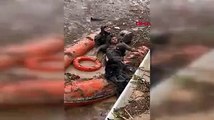 Şanlıurfa'daki alt geçitte sele kapılan vatandaş böyle kurtarıldı