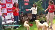 Drools teams up with Seema Sajdeh for a pet food donation drive The actress along with Drools donated 3 months’ worth of food and supplies to World For All Animal Care Canine Center