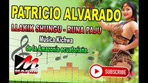 CHUNDA CURU TAKI - PATRICIO ALVARADO- LLAKIK SHUNGU  Musica Kichwa de la Amazonia