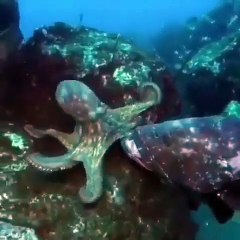 As a non smoker I can totally relate to this grouper