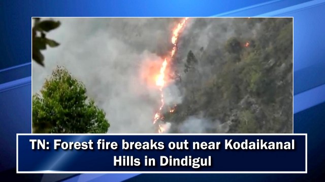 TN: Forest fire breaks out near Kodaikanal Hills in Dindigul