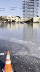 Harsh weather leaves frozen cars stranded in parking lot