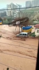 Urfa'da sele kapılarak sürüklenen anne ve çocuğu çevredeki vatandaşlar kurtardı.