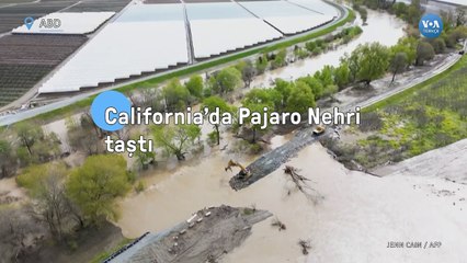 California’da Pajaro Nehri Taştı