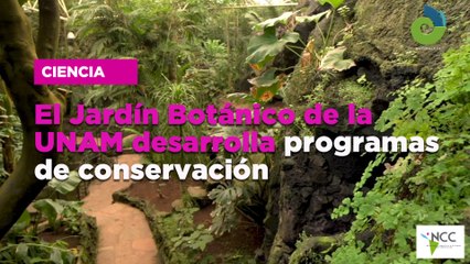 El Jardín Botánico de la UNAM desarrolla programas de conservación