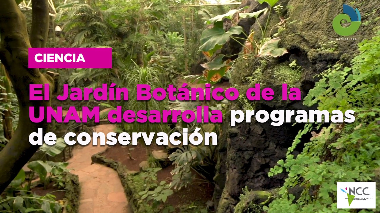 El Jardín Botánico de la UNAM desarrolla programas de conservación