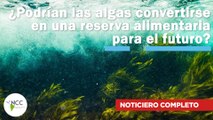 ¿Podrían las algas convertirse en una reserva alimentaria para el futuro? | 534 | 20-26 marzo 2023