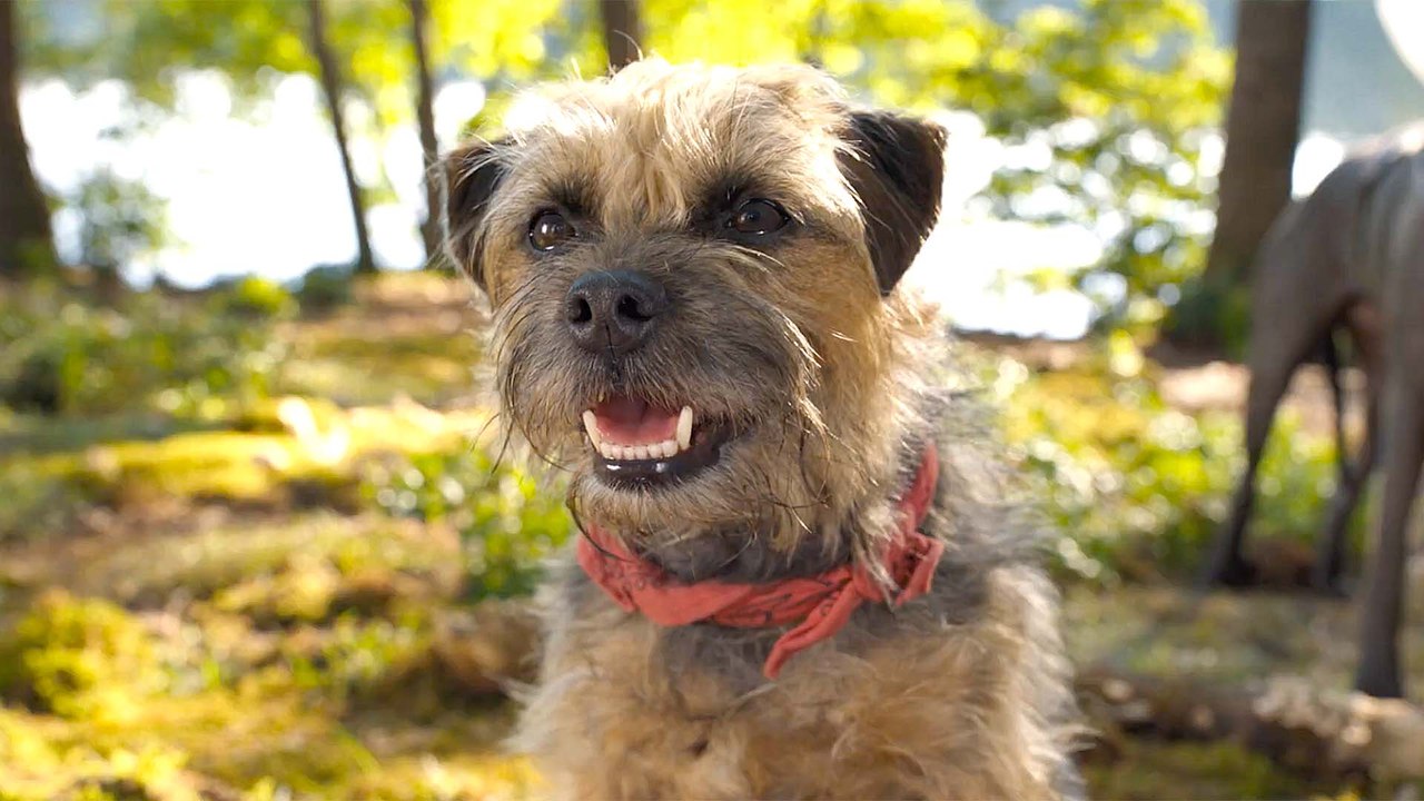Bleeping Official Trailer for Strays with Will Ferrell