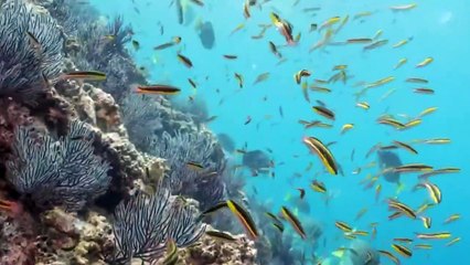 10 Most Expensive Private Islands In The World