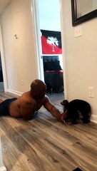 When Your Dad Puts Your Dogs Through “Man Camp”