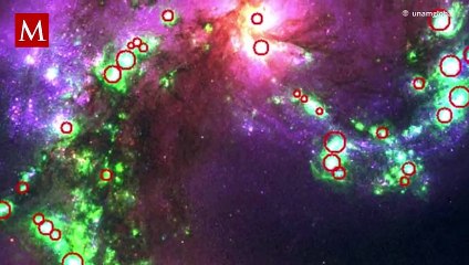 Telescopio James capta el momento exacto antes de que una estrella muriera como supernova