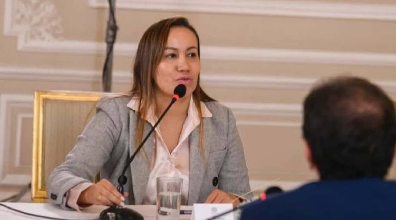 Expertos critican reforma a la salud y dicen que el "Gobierno se saldría con la suya"