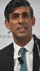 공원에서 개 목줄 풀었다가 경찰에 지적…英수낵 총리였다