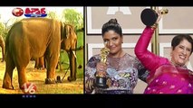CM Stalin Felicitates Caretaker Of Elephant , Oscar Winning Elephant Movie | V6 Teenmaar