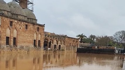 Balıklı Göl'ün balıklarına ne oldu ? Sel suları kadim kentin görünümünü değiştirdi