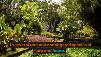 Meghalaya: India's Rainiest State 🌧️ Fascinating Facts You Must Know