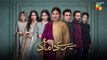 Mere Damad - Episode 45 [ Washma Fatima - Humayun Ashraf ] 15th March 2023 - HUM TV_