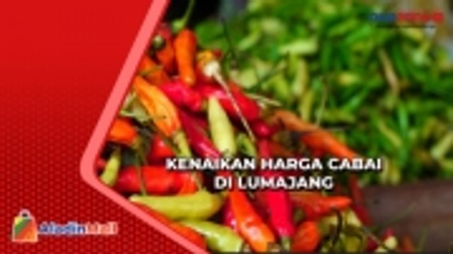 Jelang Ramadan, Harga Cabai di Lumajang Meroket