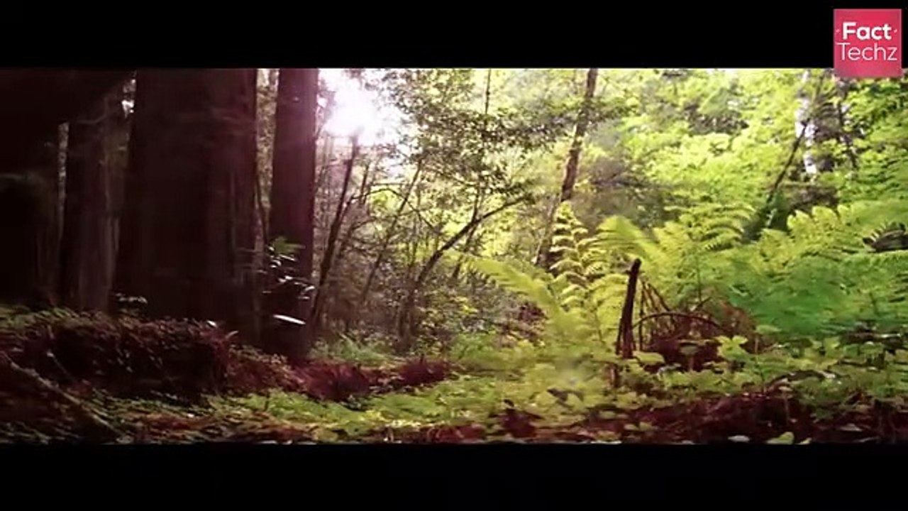 अगर सूरज गायब हुआ तो क्या होगा _ What Will Happen If the Sun Vanishes_ (Hypothesis) FactTechz