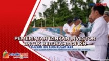 Pemerintah Izinkan Investor untuk Berusaha di IKN