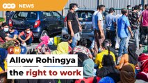 Right to work the way forward for Rohingya in Malaysia, govt told