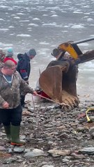 DFO Workers Help Dolphins Stuck in Ice
