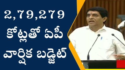 శాసనసభలో బడ్జెట్ ప్రవేశపెట్టిన ఆర్థిక శాఖ మంత్రి