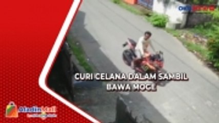 Viral! Bawa Moge, Seorang Pria di Polopo Terekam Curi Celana Dalam Wanita