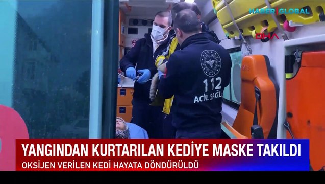 Yangından etkilenen kedi, oksijen maskesi ile hayata böyle tutundu!