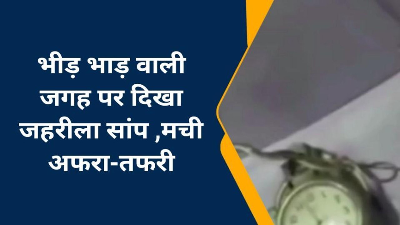 चंदौली: भीड़ भाड़ वाली जगह पर दिखा जहरीला सांप,मची चीख पुकार,जानें पूरी खवर