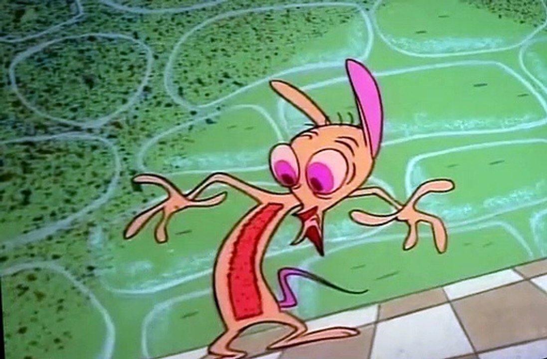 The Ren & Stimpy Show S01 E01