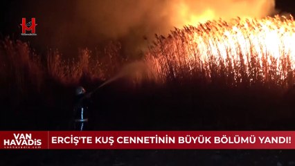Erciş'te kuş cennetinin büyük bölümü yandı!