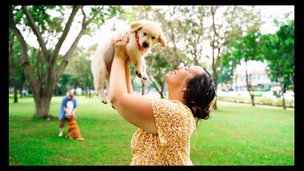 why dogs lick their humans