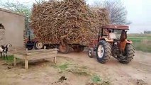 Two Tractors Pulling Overloaded Sugarcane Trolley || iFi Vlogs || Iftikhar Sargana