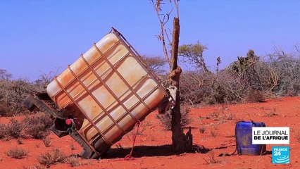 Somalie : 43 000 morts de la sécheresse, la moitié serait des enfants, les prévisions très critiques