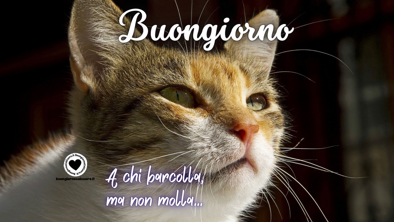 Buongiorno Divertente con Video in movimento