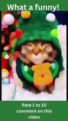 Laugh Out Loud with these Funny Animal Pets!- funny animal pets