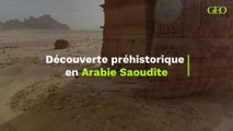 Découverte d'un site préhistorique en Arabie Saoudite