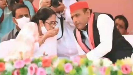 কলকাত: পঞ্চায়েত ভোটের আগে নয়া সমীকরণ! শুক্রে মমতা-অখিলেশ বৈঠক