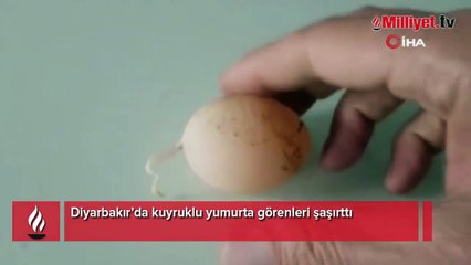 Diyarbakır’da kuyruklu yumurta görenleri şaşırttı