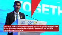 Rishi Sunak réprimandé pour avoir laissé sa chienne se promener sans laisse i