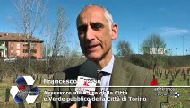 Riforestazione urbana a Torino, Sisti (Legambiente): 